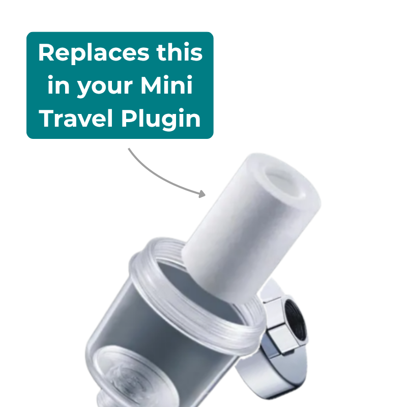 Travel Filter Refills - 2 Filters